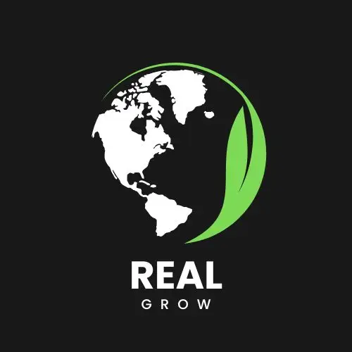 Green Modern Tree Logo Design